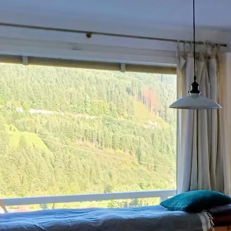 Апартаменты Amazing View Бадгаштейн